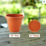 10 Inch Pot With Bottom Plate