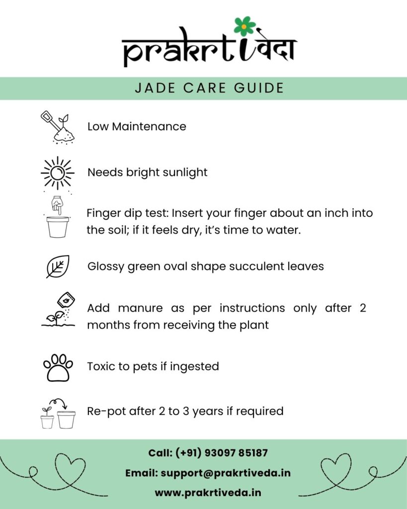 Jade Care Guide Back
