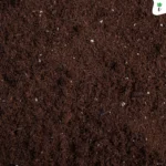 Premium Organic Potting Mix