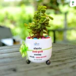 Green Bliss Gift Pot: Table Top Planter