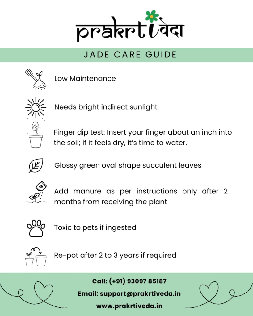 Jade Care Guide Back